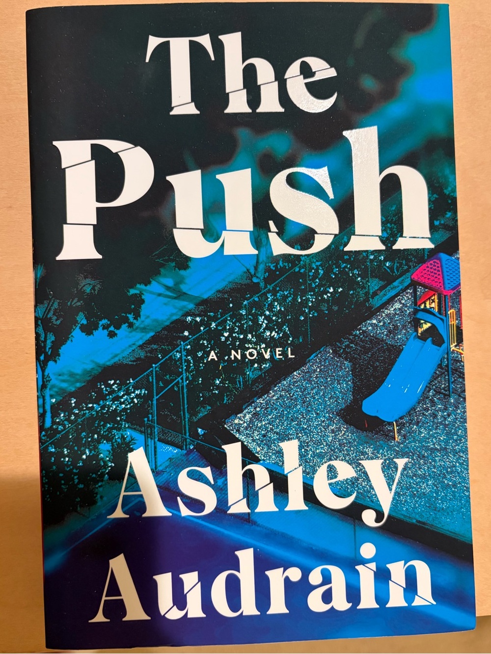 The Push by Ashley Audrain